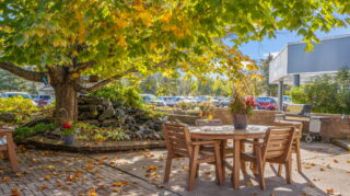 Patios and Gardens